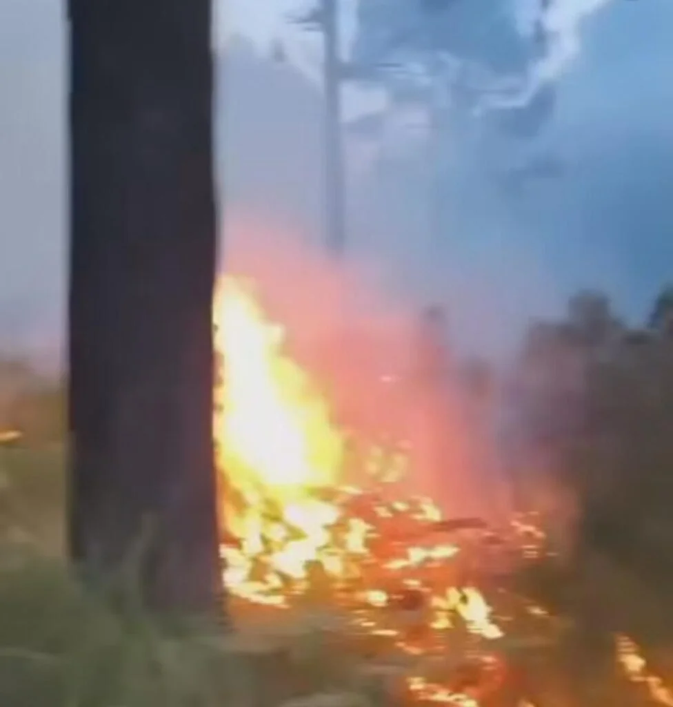 Alerta en Las Vigas por nuevo incendio en reserva ecológica de San Juan del Monte